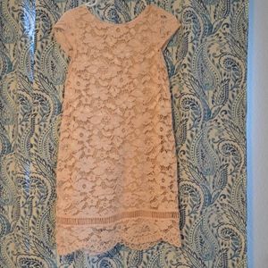 Pink Lace Women's Petite Shift dress